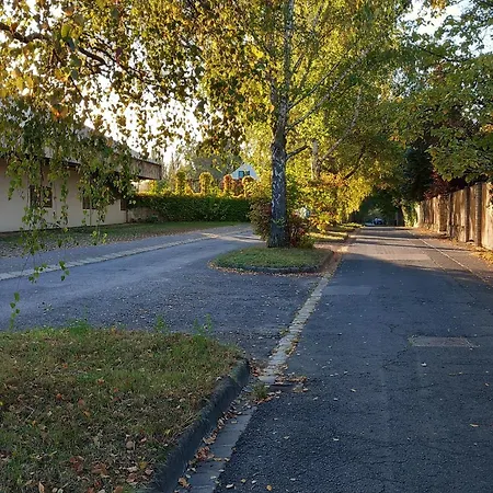 Kupolavilla-apartment-event House By The Danube River-buda *