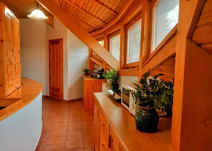 Kupolavilla-apartment-event House By The Danube River-buda * Budapest